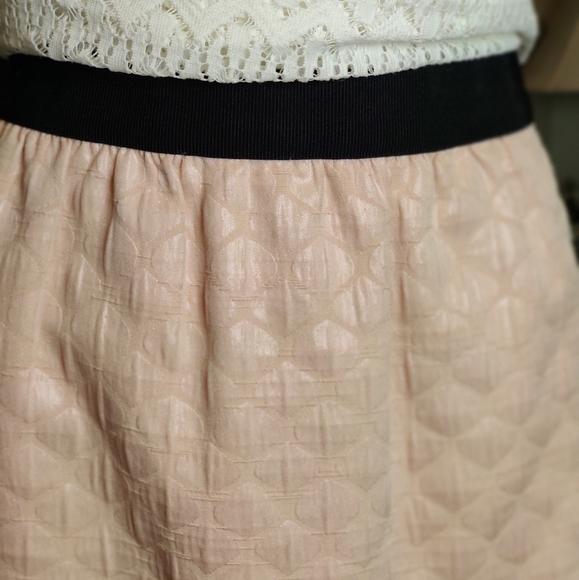 Ann Taylor Loft Pale Pink Embossed Skirt Size 6 - Picture 2 of 14
